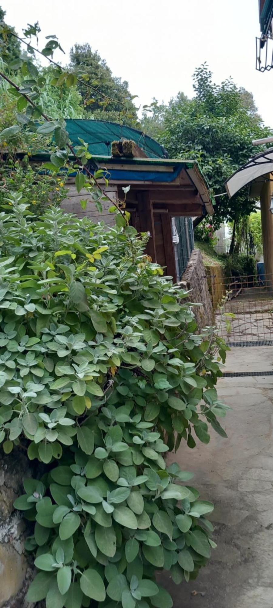 Appartamento Vacanze Malu Moneglia Exterior foto